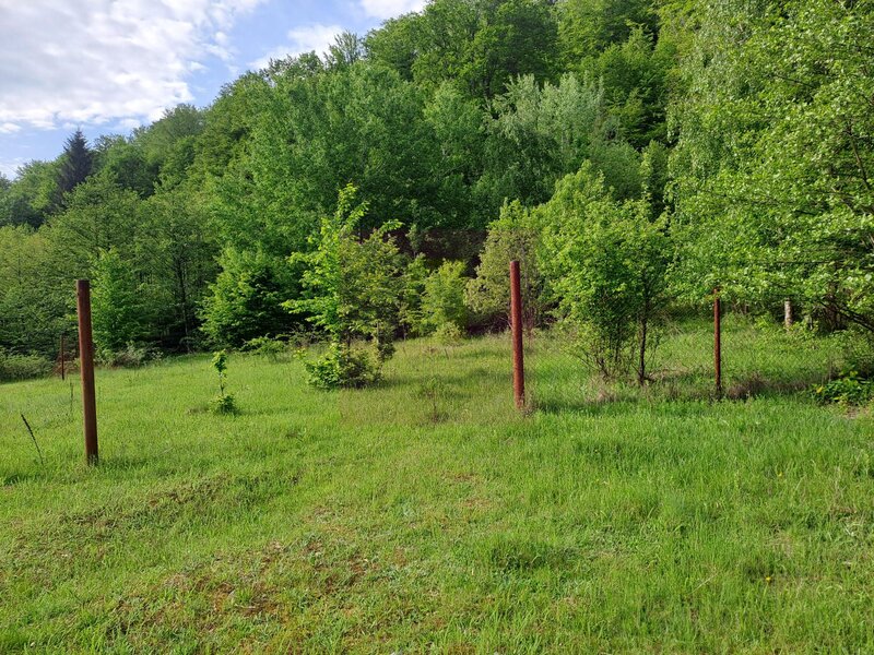BEREVOIESTI (AG) SE VINDE TEREN 834 MP IN zona Pastravaria Rausor