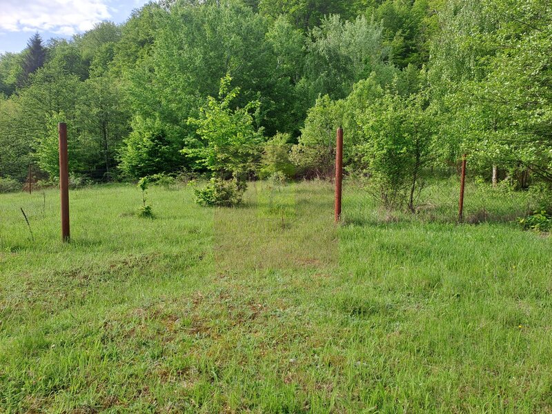BEREVOIESTI (AG) SE VINDE TEREN 834 MP IN zona Pastravaria Rausor