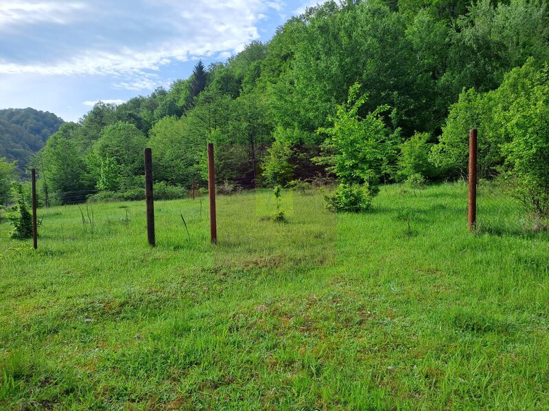 BEREVOIESTI (AG) SE VINDE TEREN 834 MP IN zona Pastravaria Rausor