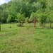 BEREVOIESTI (AG) SE VINDE TEREN 834 MP IN zona Pastravaria Rausor