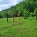 BEREVOIESTI (AG) SE VINDE TEREN 834 MP IN zona Pastravaria Rausor